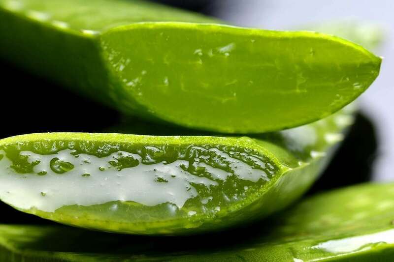 Très utilisée en naturopathie pour la peau et vos intestins : l'aloé vera 1 aloeveragel naturopathe ploermel nathaliebleuzen