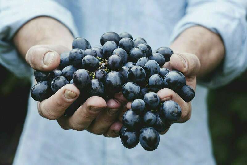 La cure de raisin 1 la cure de raisin