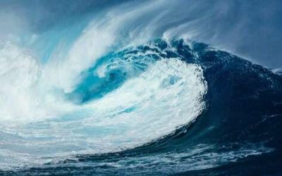 Le plasma de quinton, puissant reminéralisant