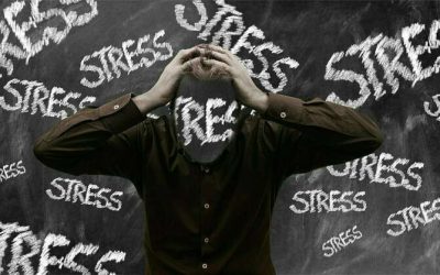 Réflexion d&rsquo;une naturopathe sur le stress dans nos sociétés