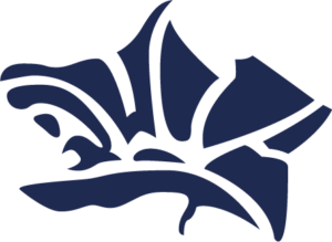 Fleur Bleu